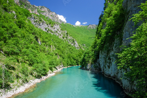 Tara river canyon  Montenegro.