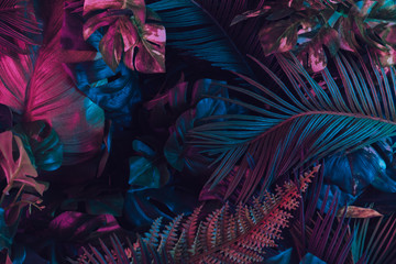 Creative fluorescent color layout made of tropical leaves. Flat lay neon colors. Nature concept.
