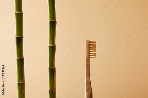 Fototapeta Naklejka Na Ścianę i Meble -  bamboo toothbrush and green bamboo stems on beige background