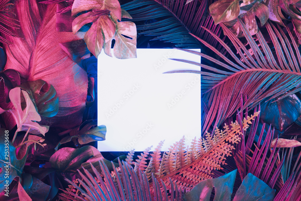 Fototapeta Kreatywny układ fluorescencyjny wykonany z tropikalnych liści z kwadratem neonowym. Leżał płasko. Koncepcja natury.
