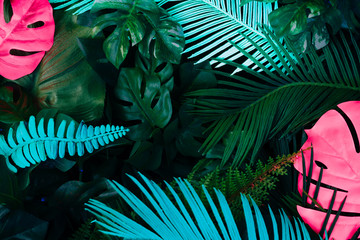 Creative fluorescent color layout made of tropical leaves. Flat lay neon colors. Nature concept.
