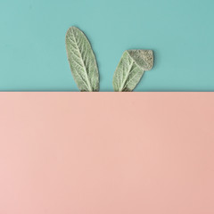 Happy Easter minimal concept. Bunny rabbit ears made of natural green leaves on pastel pink and blue background. Flat lay.