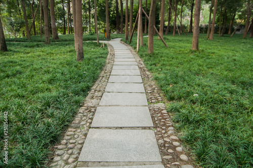 pathway running through lawn 