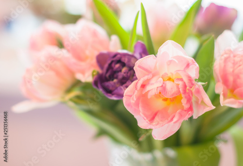 Fototapeta Naklejka Na Ścianę i Meble -  A bouquet of pink and violet tulips