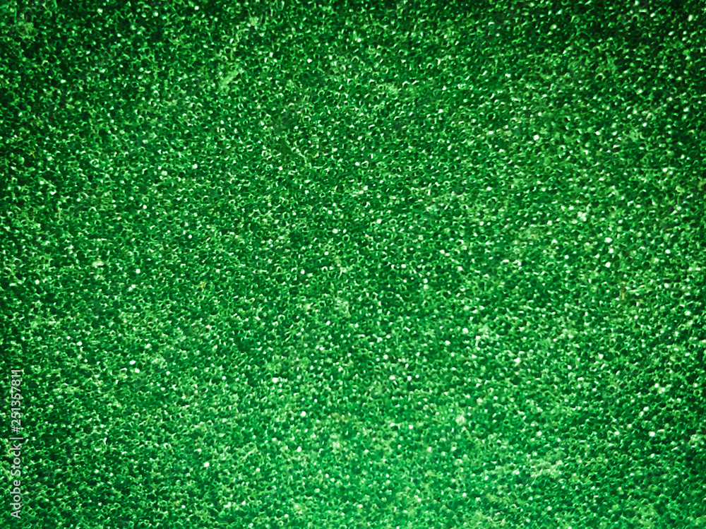 Fototapeta premium The porous structure of the sponge green