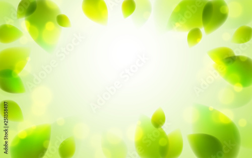 Fresh green leaves summer or spring blurred defocused, realistic bright vector illustration with copy space for text.