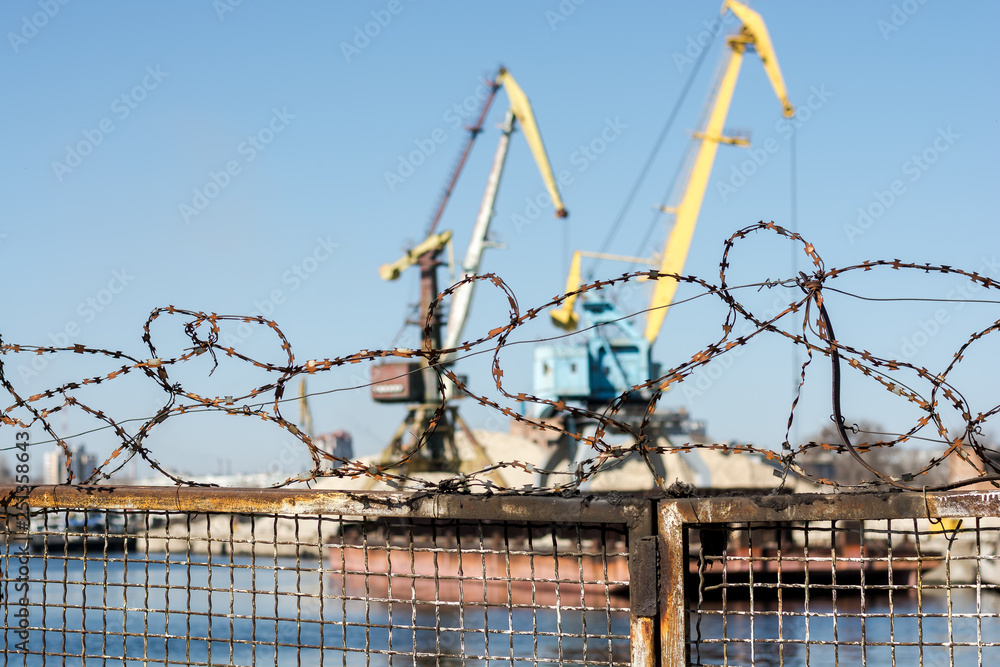 Barbed wire on the background of port cranes.