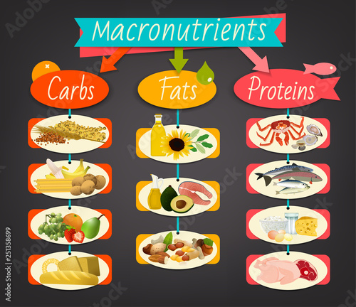 Macronutrients landscape poster