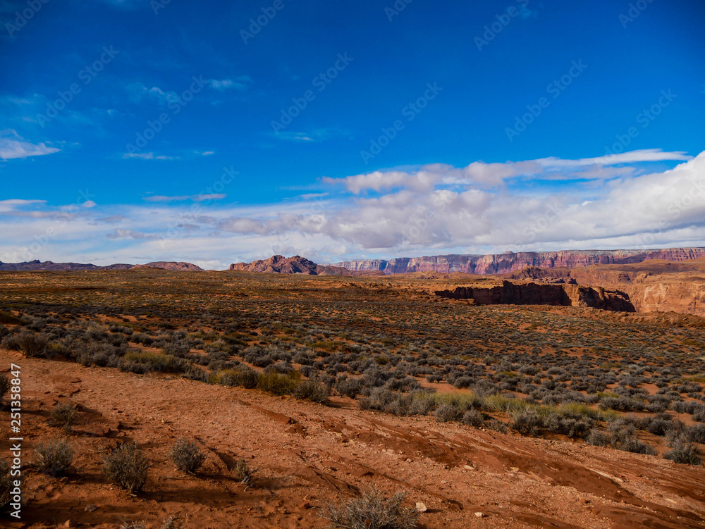 Southwest Desert, Arizona, USA