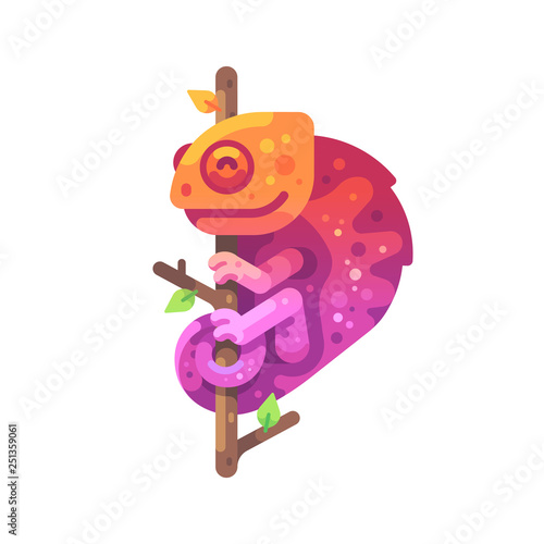 Orange and pink chameleon sitting on a tree branch