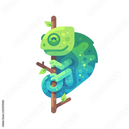 Green and blue chameleon sitting on a tree branch