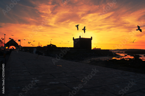 William Belchior photography