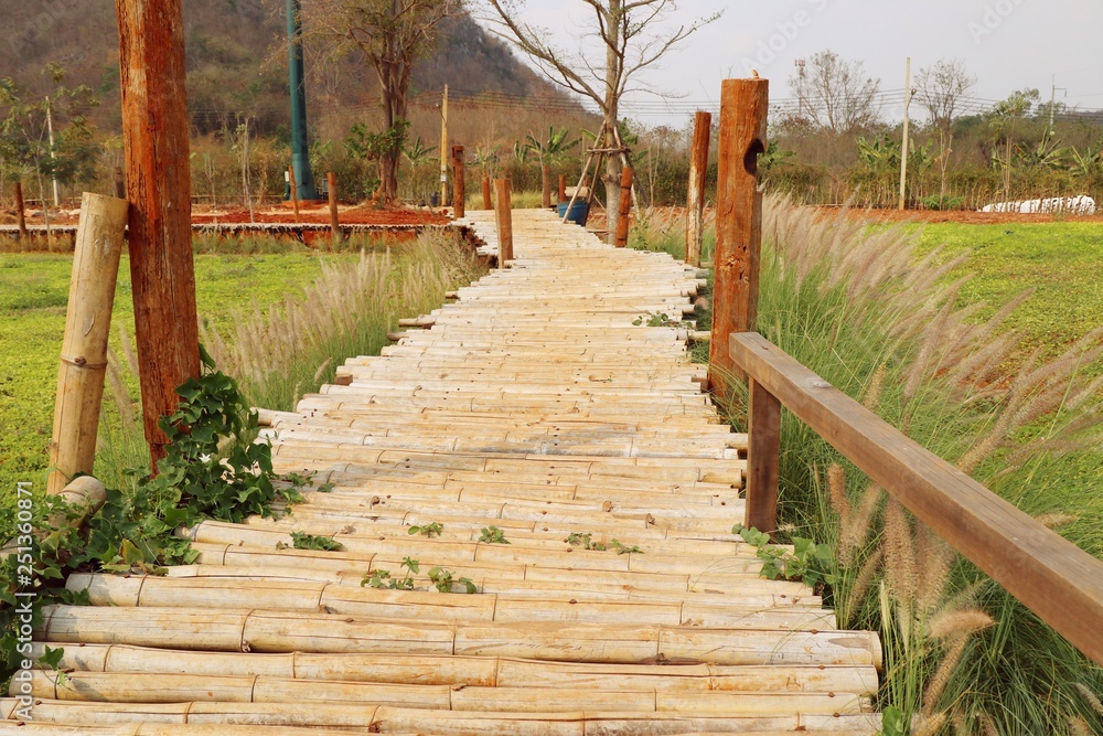 Bamboo bridge in nature
