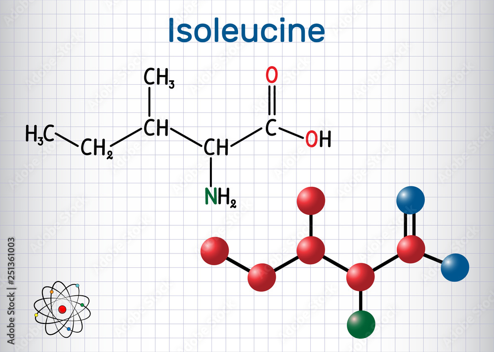 Isoleucine (L- isoleucine , Ile, I) amino acid molecule. It is used in the biosynthesis of proteins. Sheet of paper in a cage. Structural chemical formula and molecule model. Isoleucine (L- isoleucine , Ile, I) amino acid molecule. It is used in the biosynthesis of proteins. Sheet of paper in a cage. Structural chemical formula and molecule model.