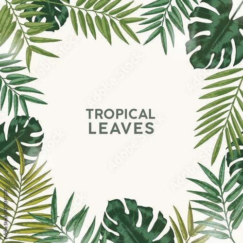 Square summer backdrop or background with frame or border made of green tropical foliage or exotic leaves of rainforest and jungle plants and place for text. Natural realistic vector illustration.