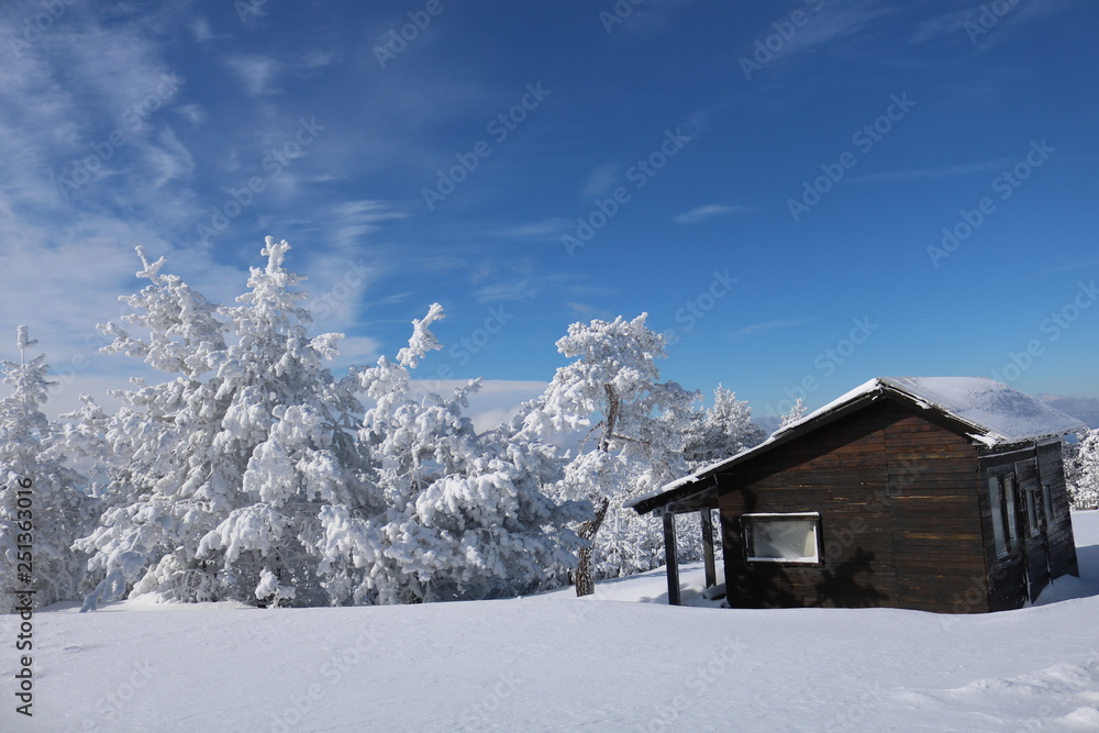 Winter wonderland with mountain chalets in the Serbia