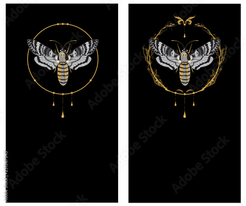 set of backgrounds with butterfly death head