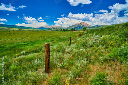 Mountain Pasture with Carbon Peak photo