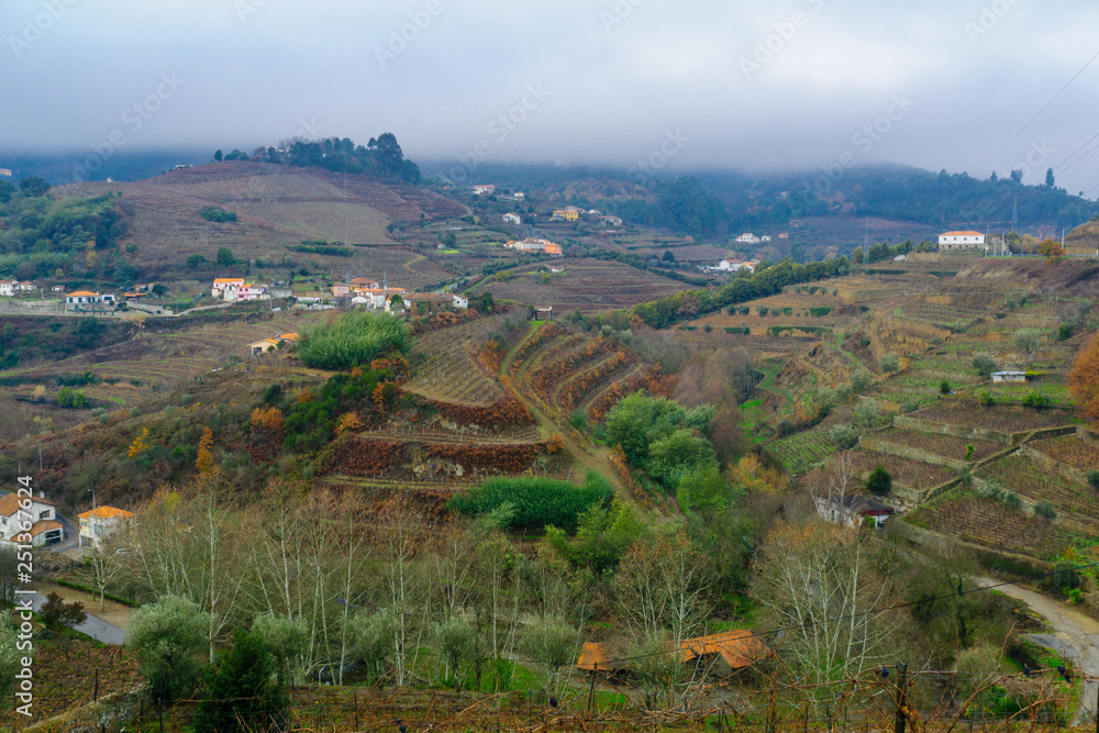 Countryside and vineyards in the Douro Valley