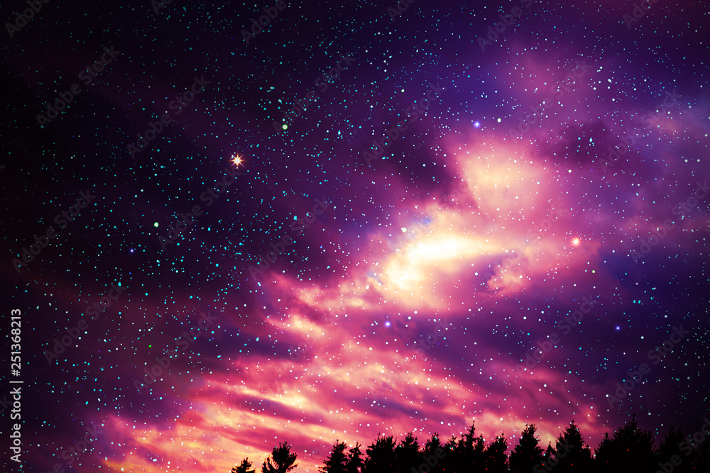 Colorful night sky with many stars above of trees silhouette.