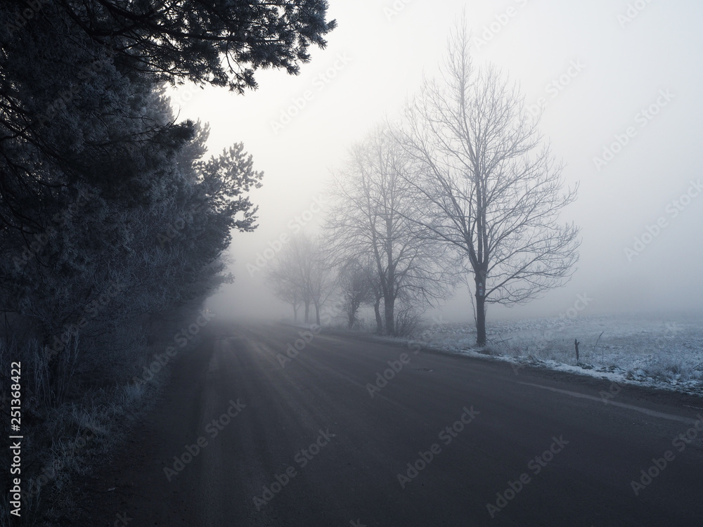 Winter road in the morning fog Winter road in the morning fog