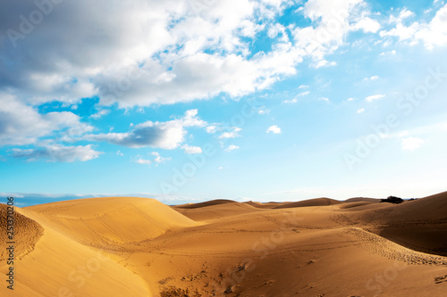 sand dunes of Maspalomas in Gran Canaria, Spain