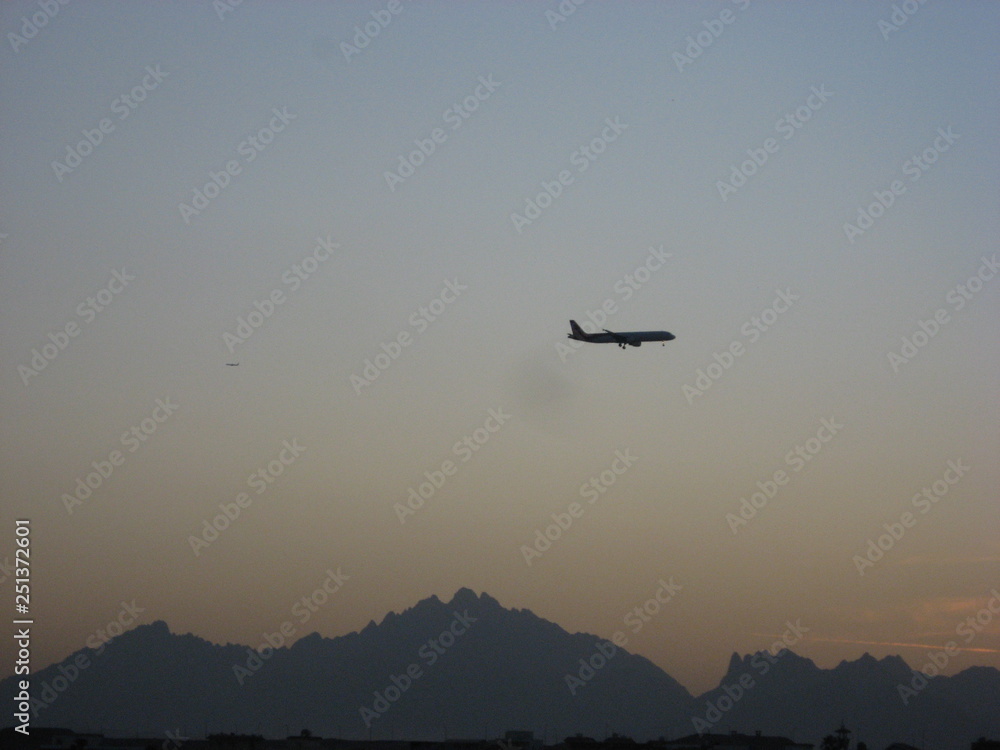 Naklejka premium PLANE GOES ON SUNSET