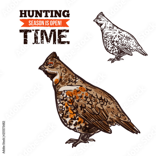 Obraz na plátně Hunting bird hazel grouse vector sketch