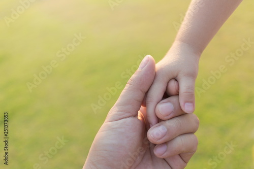 Father and son holding hand in hand at the garden outdoor. © ketsiam