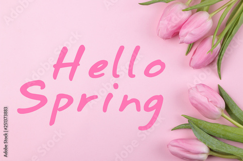 A bouquet of beautiful pink tulip flowers on a trendy pink background. Spring. holidays. text hello spring. top view