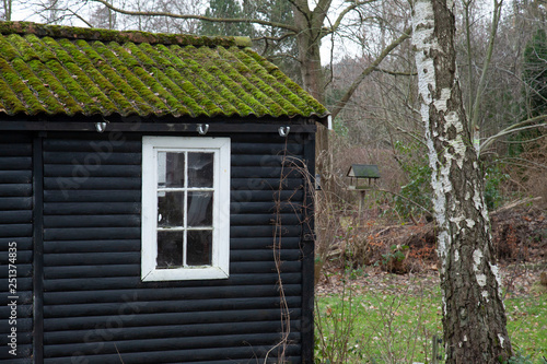 Tiny house with green moss on roof