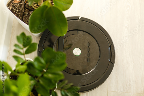 Robot vacuum cleaner stands near the flower, while cleaning the room