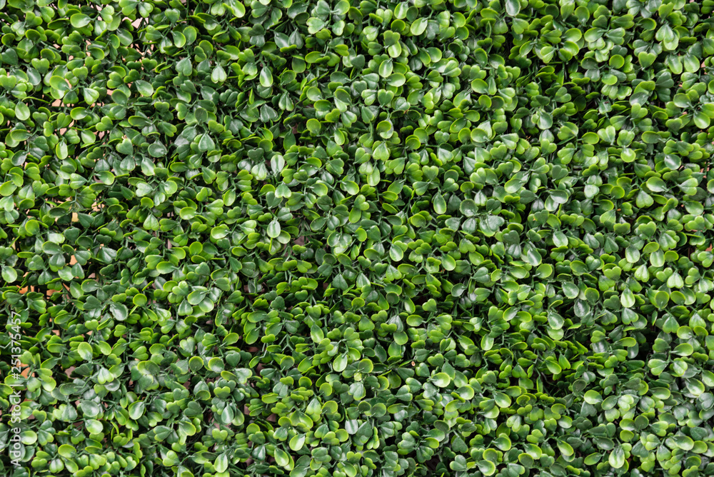 Green plastic grass background for graphic design Green plastic grass background for graphic design