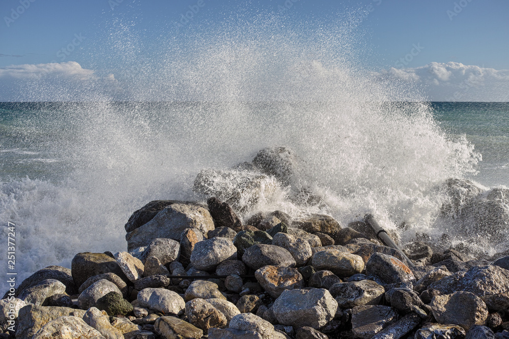 Foam Foam