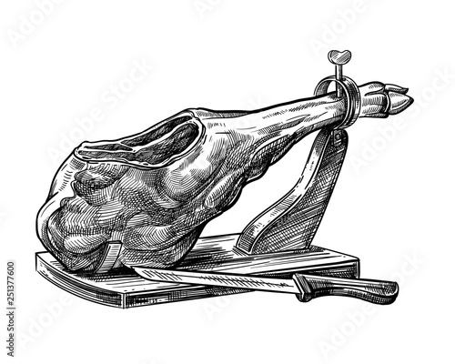 Sketch of jamon. Hand drawn illustration photo