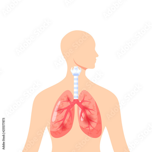 Irritated lungs vector icon in flat style