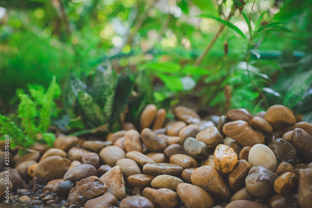 Wet pebble stone in garden low angle closup with blurry bokeh of nature view background Wet pebble stone in garden low angle closup with blurry bokeh of nature view background