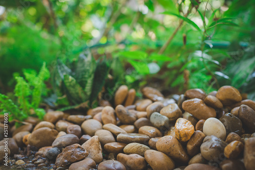 Wet pebble stone in garden low angle closup with blurry bokeh of nature view background