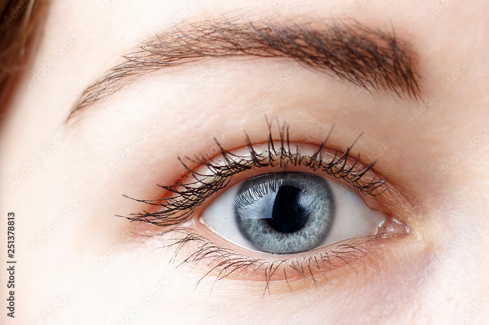 Obraz premium Beautiful female blue eye close-up