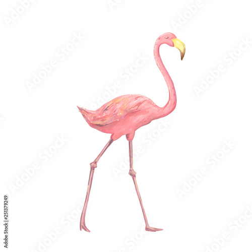 Pink cute flamingo watercolor character digital clip art beauty bird tropical summer set illusration on white background © Anna Terleeva
