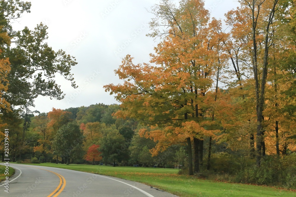 Naklejka premium Rural Country Roadway with a autumn view