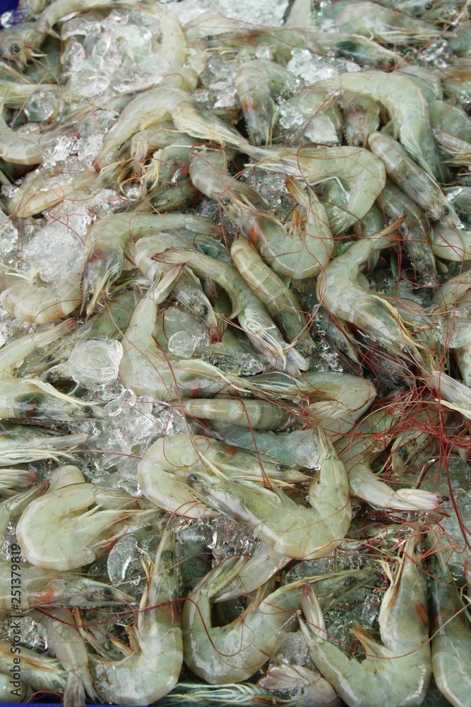 Fresh shrimp for cooking at street food Fresh shrimp for cooking at street food