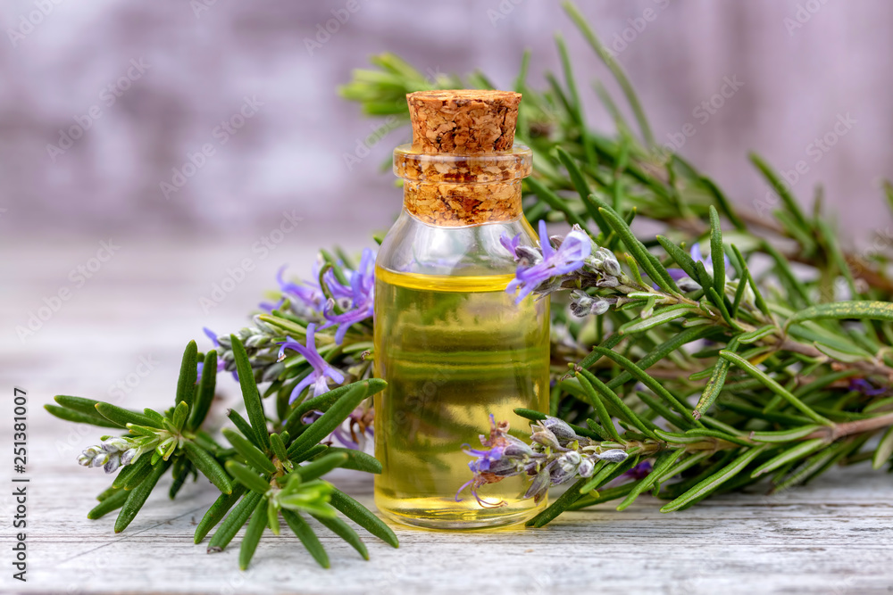 Rosemary essential oil in a small bottle. Natural aroma cosmetic oil Rosemary essential oil in a small bottle. Natural aroma cosmetic oil