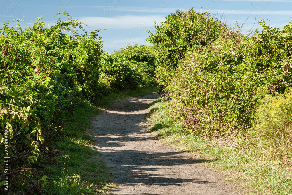 Late summer on Sachuest path Late summer on Sachuest path