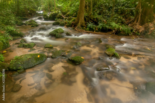 Fototapeta Naklejka Na Ścianę i Meble -  Waterfalls in natural forests, Thailand