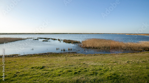 Tranquil landscape at the coastline of Fehmarn Island  Germany  Baltic sea