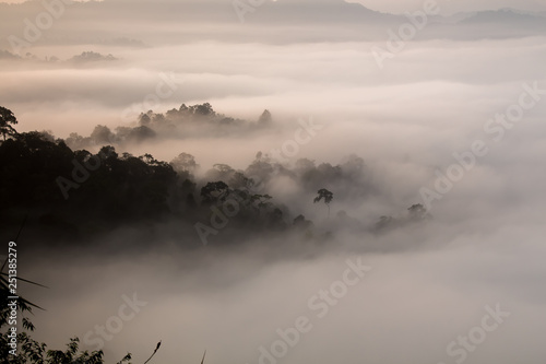 Morning mist © Woraphon