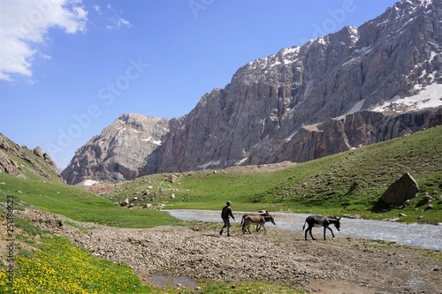 Man and two donkeys crossing the river in the mountains, Fann Mountains, Tajikistan 