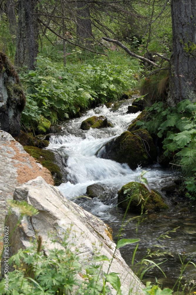 Lac des Sagnes Lac des Sagnes