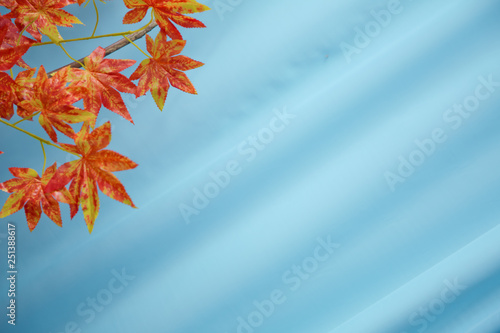 Artificial yellow and red autumn leaves in the background . Selective focus of plastic red maple with white background